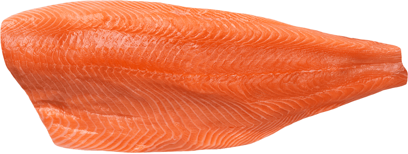 Salmon fillet