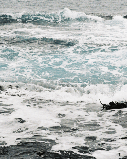 Environmental commitment